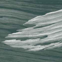 Limpe Fuchs - Vogelmusik CD - Robot Records.