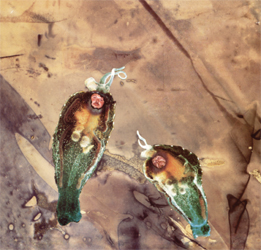 Steven Stapleton / Tony Wakeford - Revenge of the Selfish Shellfish